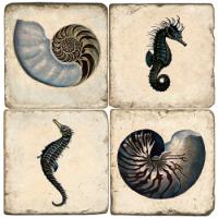 Seahorse And Shell Marble Coasters