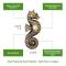 Solid Brass Seahorse Doorbell in Antique Brass