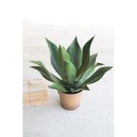 Artificial Agave In A Painted Plastic Pot
