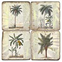 Palms Coasters S/4