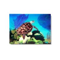 Aloha Honu Cutting Board